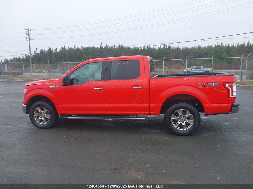 1FTEW1E84GFB38799 2016 FORD F-150 photo no. 14