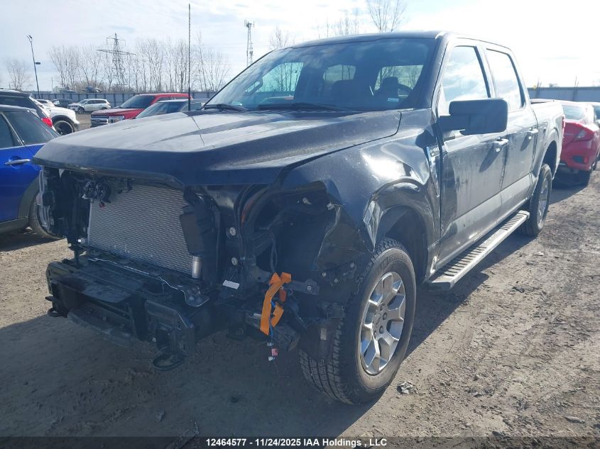 2025 Ford F150 Xlt VIN: 1FTFW3L80SKE61847 Lot: 12464577