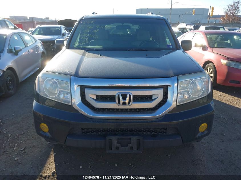 2011 Honda Pilot Ex VIN: 5FNYF4H49BB501053 Lot: 12464578