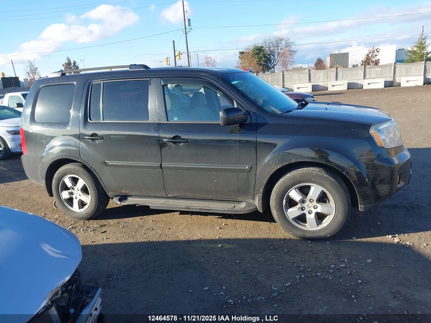 2011 Honda Pilot Ex VIN: 5FNYF4H49BB501053 Lot: 12464578