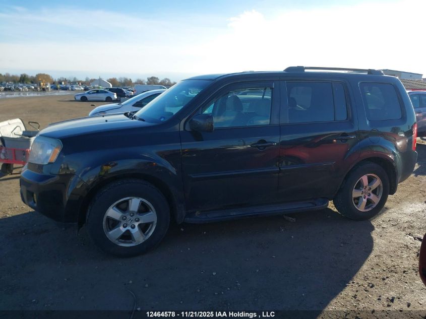 2011 Honda Pilot Ex VIN: 5FNYF4H49BB501053 Lot: 12464578