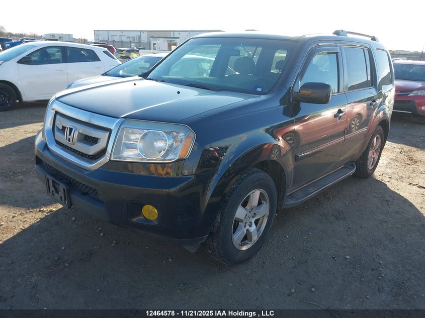5FNYF4H49BB501053 2011 HONDA PILOT photo no. 2