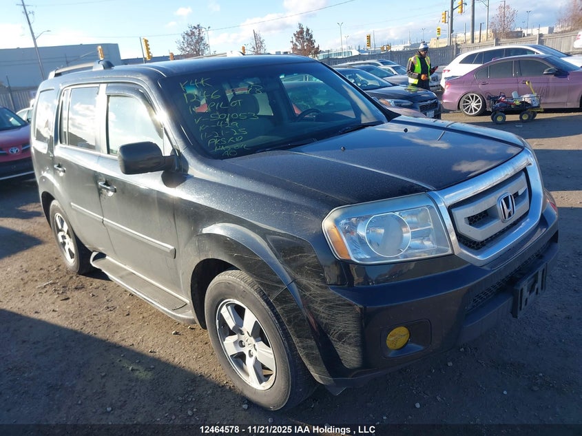 2011 Honda Pilot Ex VIN: 5FNYF4H49BB501053 Lot: 12464578
