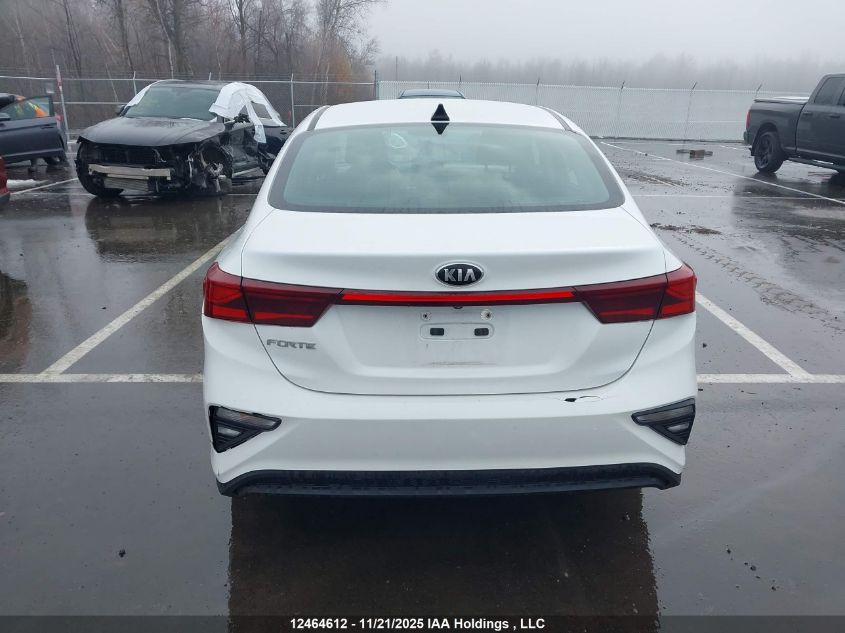 2020 Kia Forte Lx VIN: 3KPF24AD9LE207981 Lot: 12464612