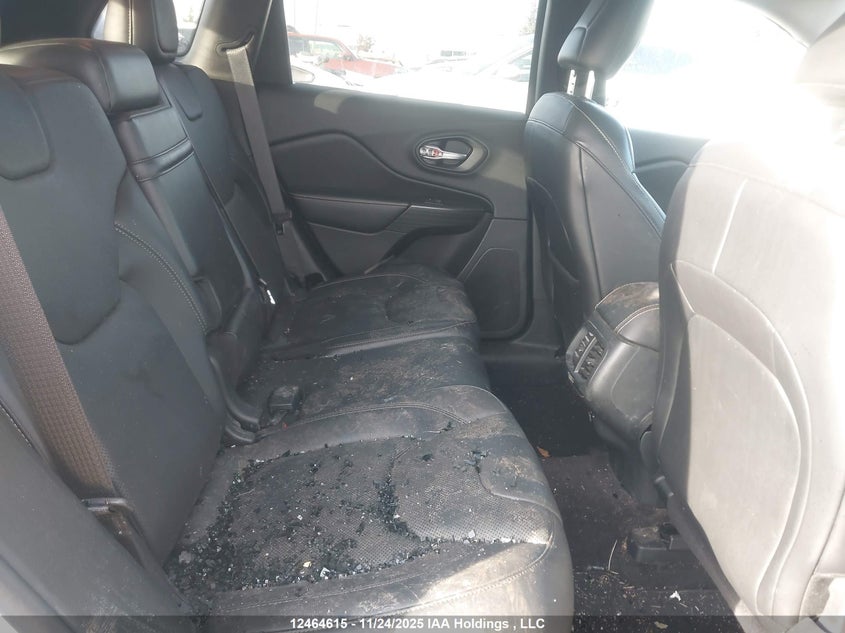 1C4PJMDB1GW263930 2016 JEEP CHEROKEE photo no. 8