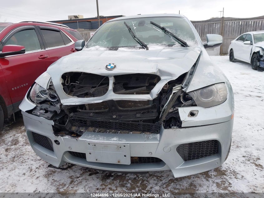 5YMGZ0C52CLL29658 2012 BMW X6 M photo no. 12