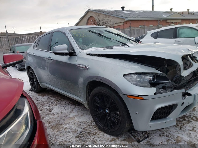 5YMGZ0C52CLL29658 2012 BMW X6 M photo no. 13