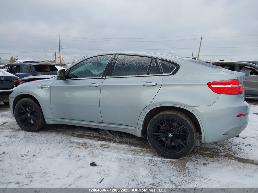 5YMGZ0C52CLL29658 2012 BMW X6 M photo no. 14
