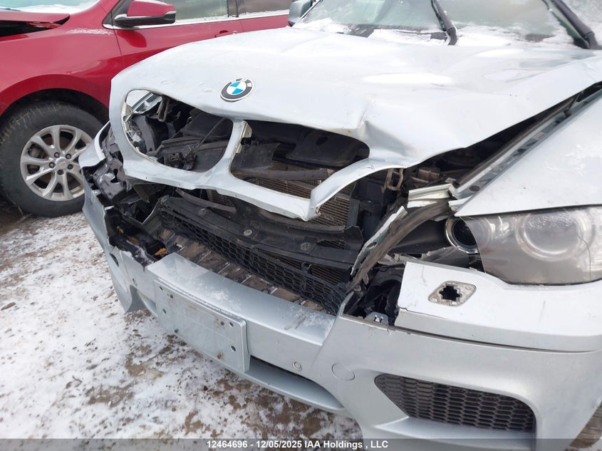 5YMGZ0C52CLL29658 2012 BMW X6 M photo no. 6