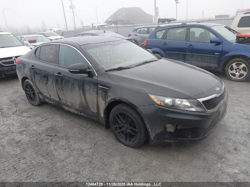 2013 Kia Optima VIN: KNAGM4A74D5422896 Lot: 12464729