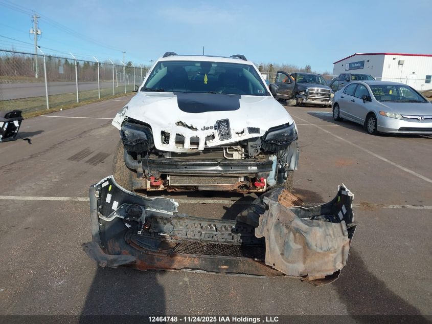 2019 Jeep Cherokee Trailhawk VIN: 1C4PJMBX7KD213522 Lot: 12464748