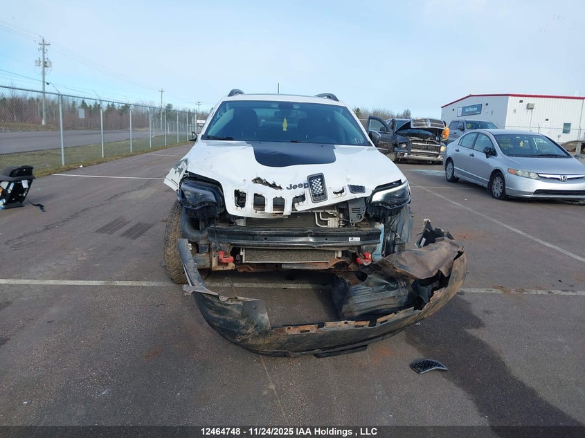 2019 Jeep Cherokee Trailhawk VIN: 1C4PJMBX7KD213522 Lot: 12464748