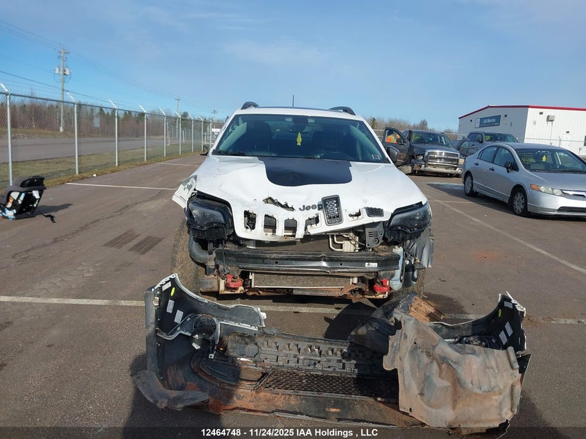 2019 Jeep Cherokee Trailhawk VIN: 1C4PJMBX7KD213522 Lot: 12464748