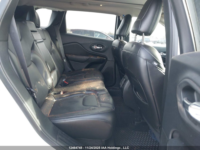 2019 Jeep Cherokee Trailhawk VIN: 1C4PJMBX7KD213522 Lot: 12464748