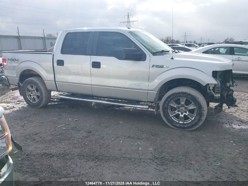 2014 Ford F-150 Xlt VIN: 1FTFW1EFXEKF96161 Lot: 12464778