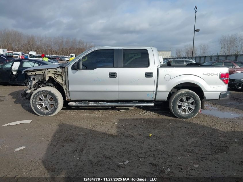 2014 Ford F-150 Xlt VIN: 1FTFW1EFXEKF96161 Lot: 12464778