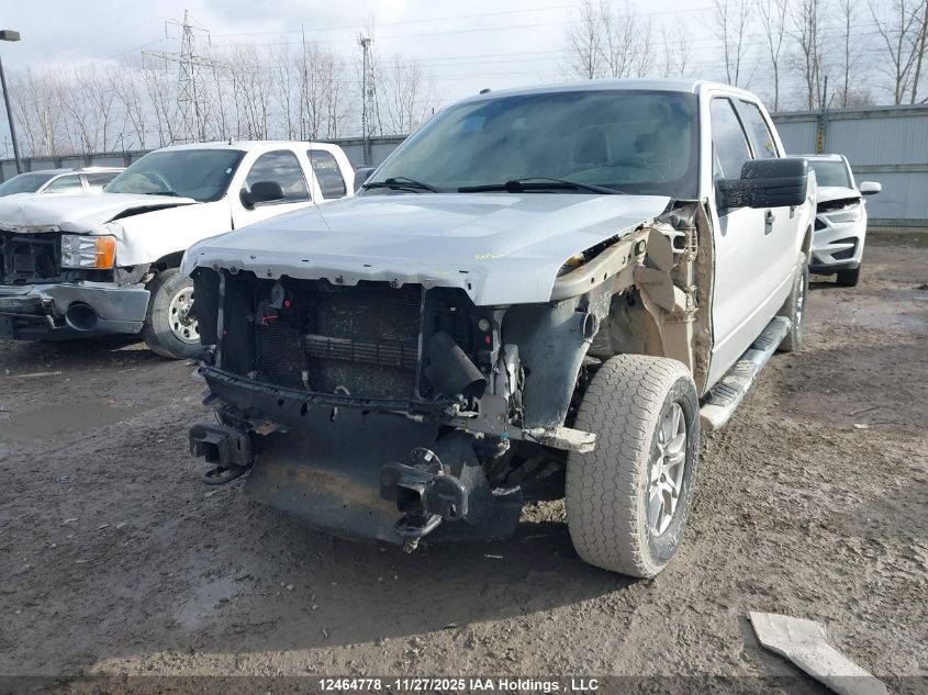 2014 Ford F-150 Xlt VIN: 1FTFW1EFXEKF96161 Lot: 12464778