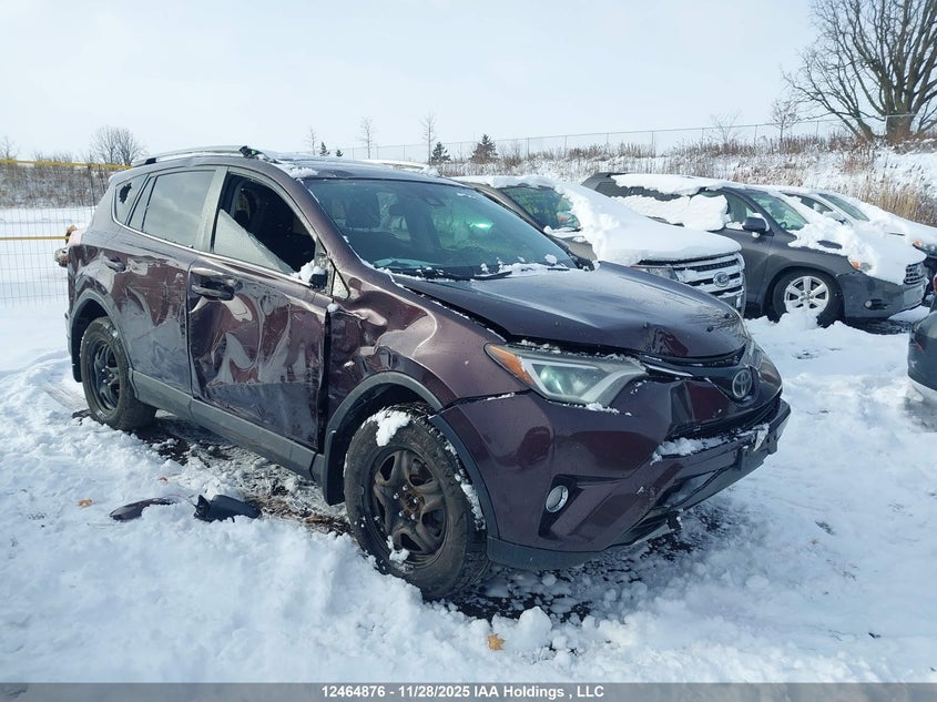 2T3WFREV3HW373736 2017 Toyota Rav4 Xle auction photo 1