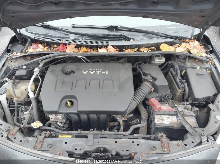 2010 Toyota Corolla VIN: 2T1BU4EE5AC281907 Lot: 12464950