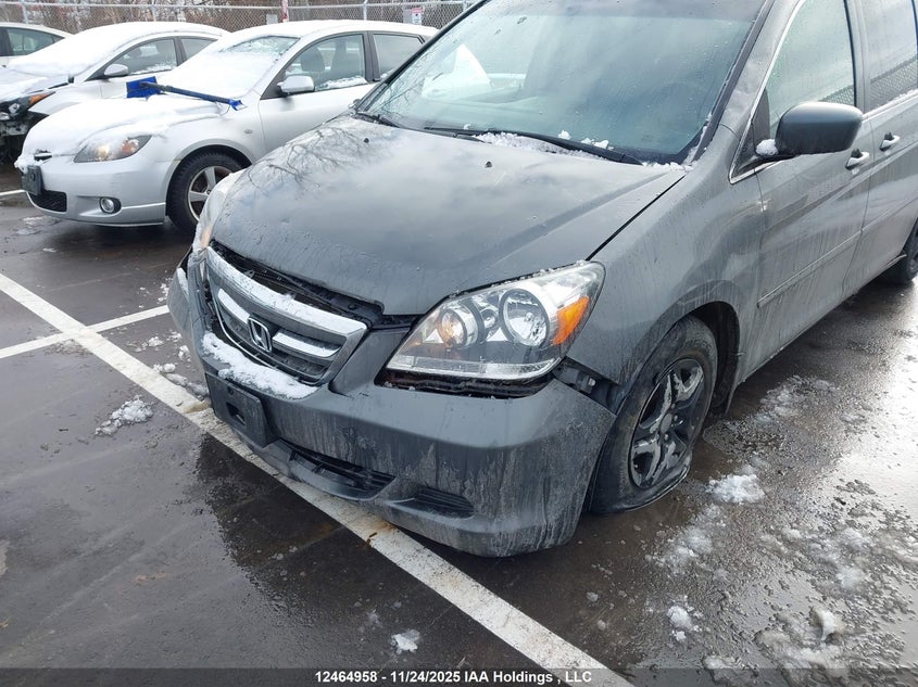 2007 Honda Odyssey Ex VIN: 5FNRL38477B513278 Lot: 12464958
