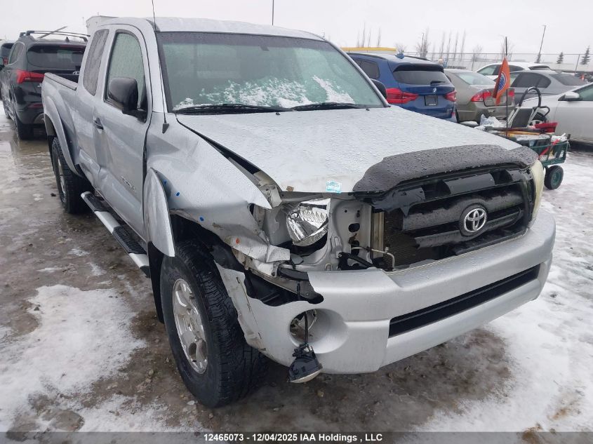 2007 Toyota Tacoma Base V6 VIN: 5TEUU42N47Z390357 Lot: 12465073