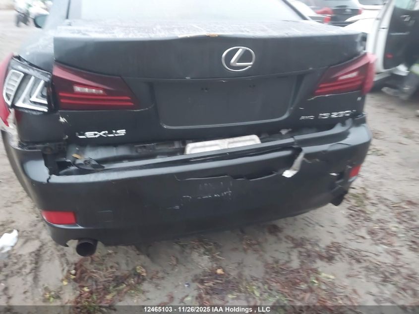 2009 Lexus Is 250 VIN: JTHCK262X92028495 Lot: 12465103