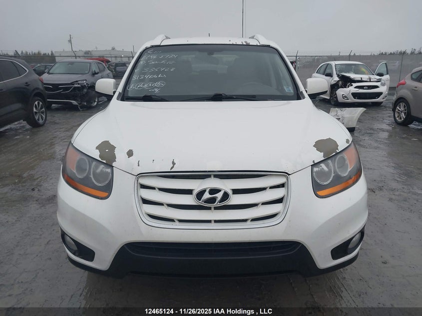 5NMSGDAG0AH335428 2010 HYUNDAI SANTA FE photo no. 13