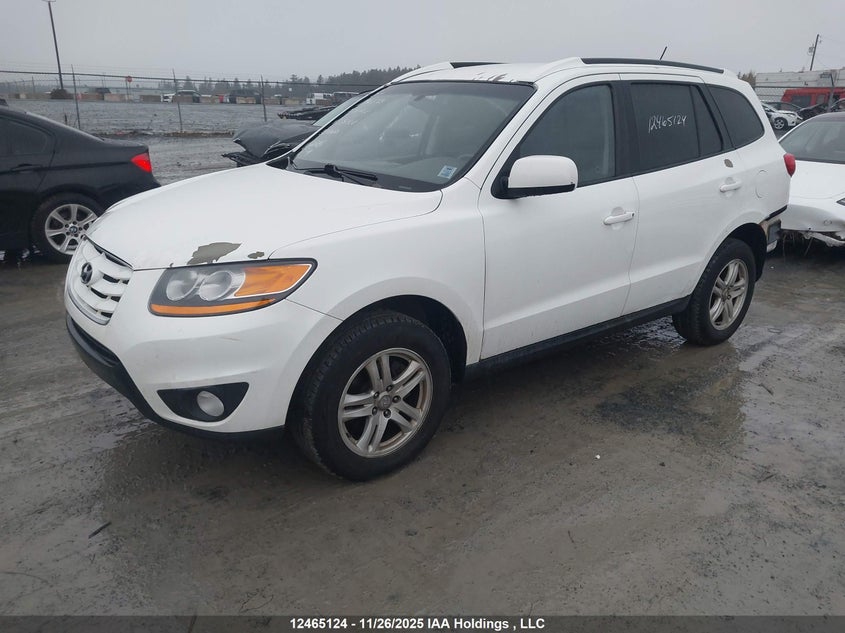 5NMSGDAG0AH335428 2010 HYUNDAI SANTA FE photo no. 2