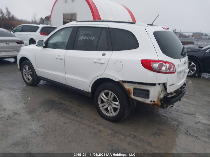 5NMSGDAG0AH335428 2010 HYUNDAI SANTA FE photo no. 3