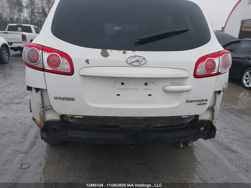 5NMSGDAG0AH335428 2010 HYUNDAI SANTA FE photo no. 6
