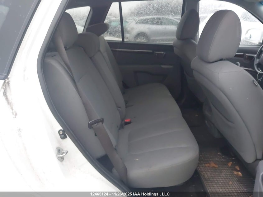 5NMSGDAG0AH335428 2010 HYUNDAI SANTA FE photo no. 8