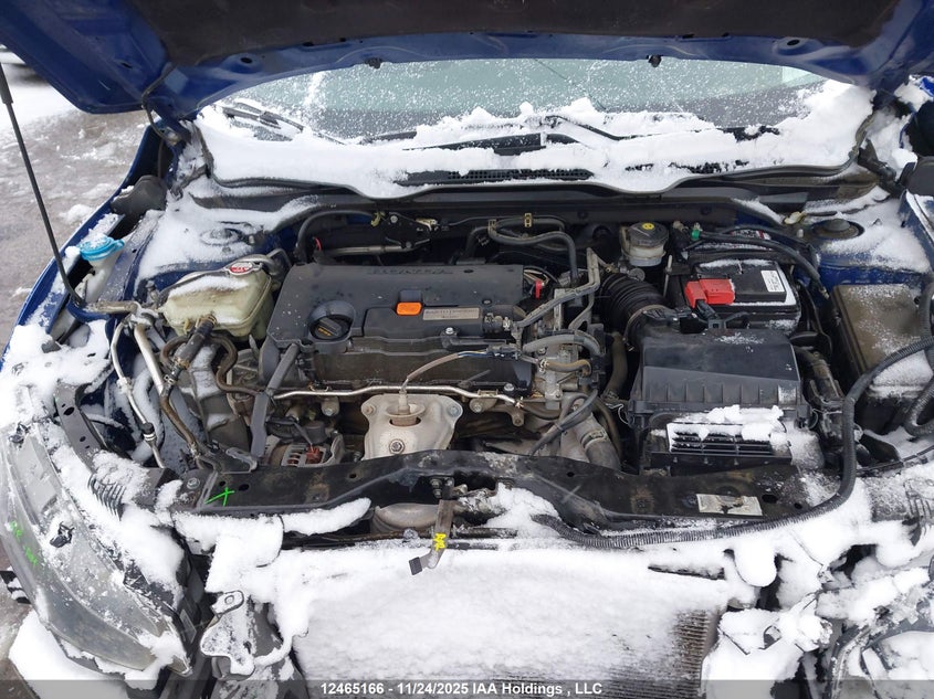 2019 Honda Civic VIN: 2HGFC2F56KH032404 Lot: 12465166