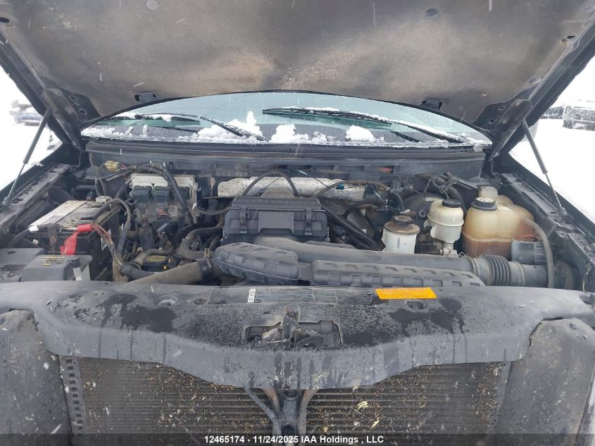 2007 Ford F-150 Fx4/Xlt VIN: 1FTPW04557KA77917 Lot: 12465174