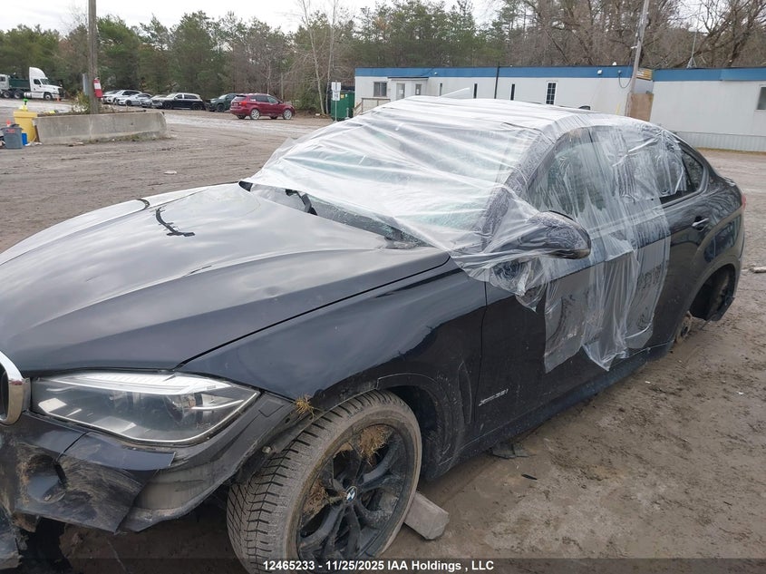 5UXKU2C56G0N84137 2016 BMW X6 photo no. 18