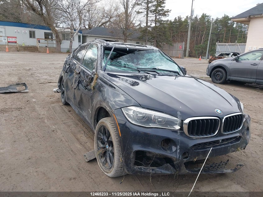5UXKU2C56G0N84137 2016 BMW X6 photo no. 6