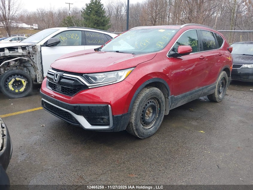 2HKRW2H42LH219994 2020 HONDA CR-V photo no. 2