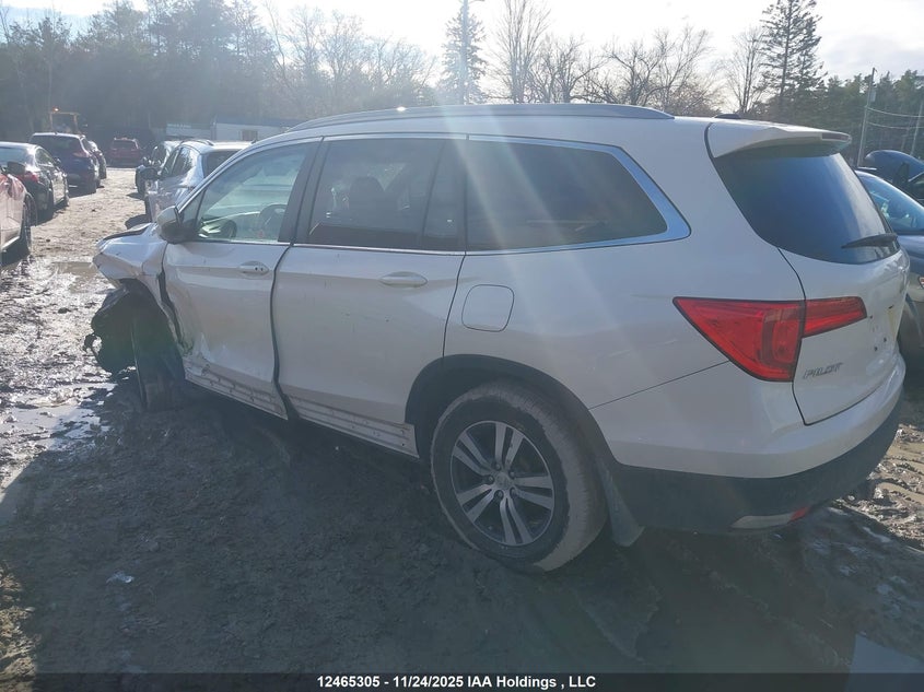 5FNYF6H79HB508177 2017 HONDA PILOT photo no. 3