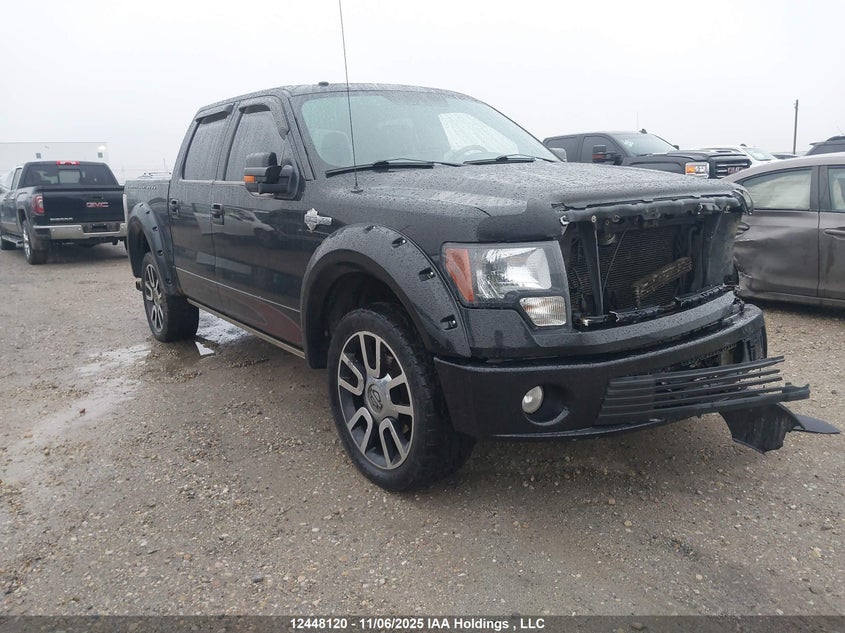 1FTFW1EV8AFA47231 2010 Ford F-150 Fx4/Harley-Davidson/Lariat/Xlt auction photo 1