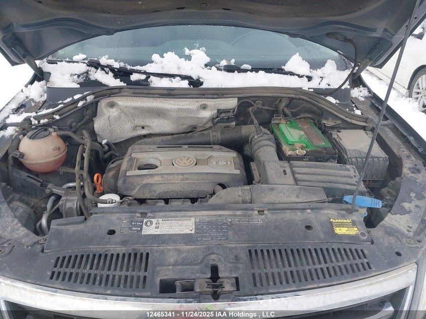 2009 Volkswagen Tiguan Se/Sel VIN: WVGBV95NX9W528170 Lot: 12465341