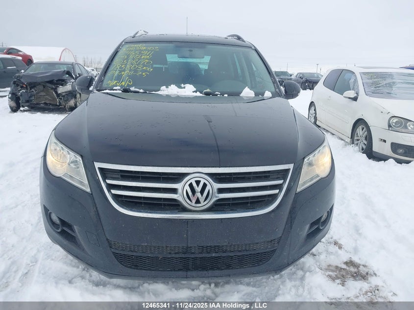 2009 Volkswagen Tiguan Se/Sel VIN: WVGBV95NX9W528170 Lot: 12465341