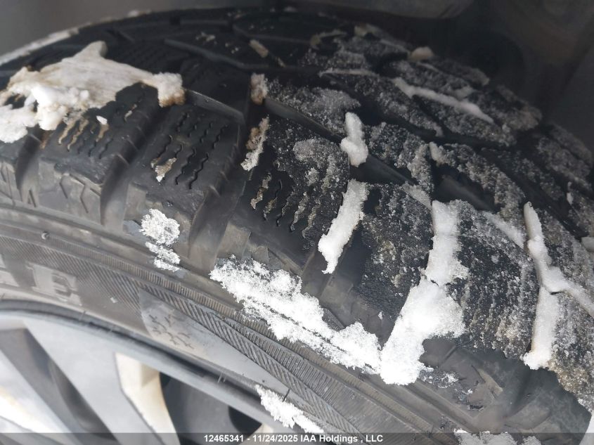 2009 Volkswagen Tiguan Se/Sel VIN: WVGBV95NX9W528170 Lot: 12465341