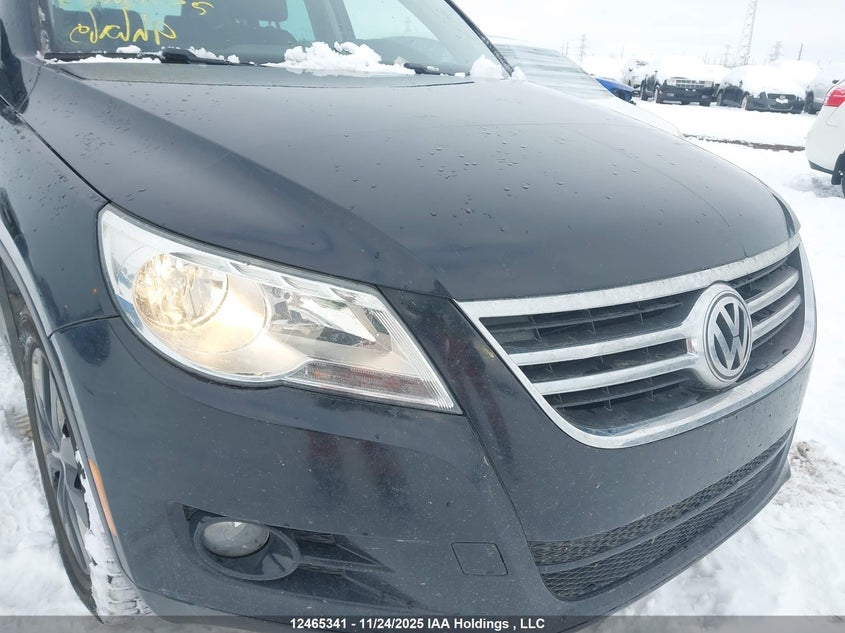 2009 Volkswagen Tiguan Se/Sel VIN: WVGBV95NX9W528170 Lot: 12465341