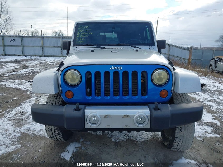2009 Jeep Wrangler Sahara VIN: 1J8FA54109L790430 Lot: 12465365