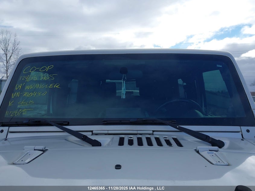 2009 Jeep Wrangler Sahara VIN: 1J8FA54109L790430 Lot: 12465365