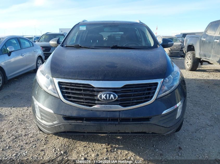 2013 Kia Sportage Ex/Ex Luxury VIN: KNDPCCA24D7431820 Lot: 12465375