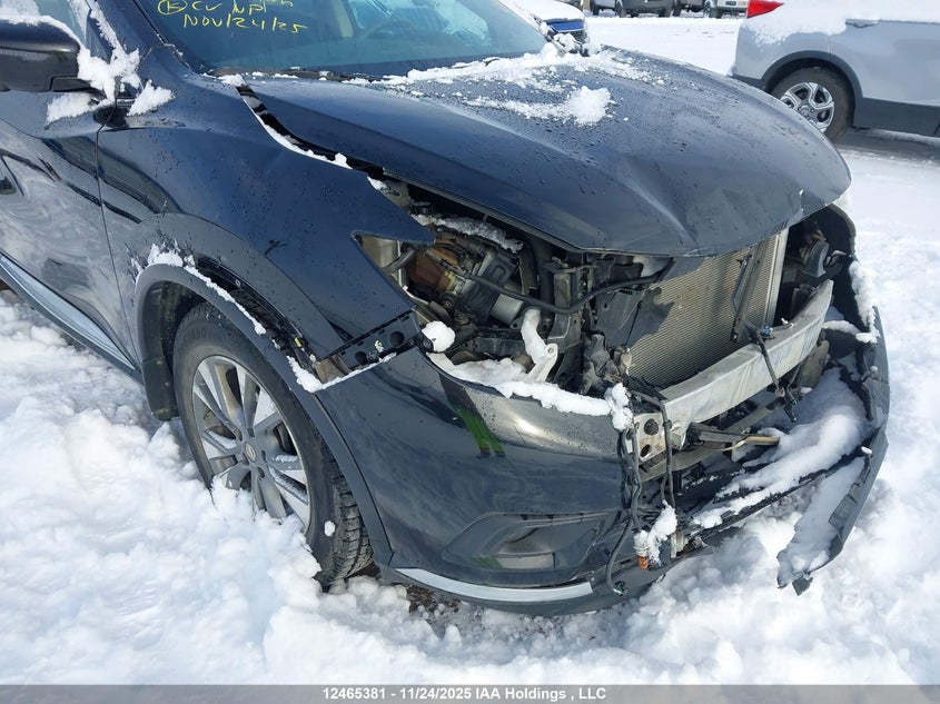 2016 Nissan Murano S/Sl/Sv/Platinum VIN: 5N1AZ2MH1GN123482 Lot: 12465381