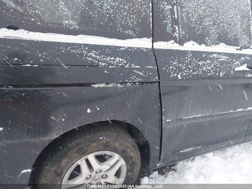 2007 Honda Odyssey Ex-L VIN: 5FNRL38787B505992 Lot: 12465461