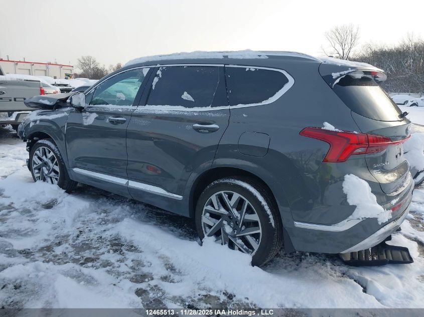 2023 Hyundai Santa Fe Ultimate Calligraphy VIN: 5NMS5DAL4PH545249 Lot: 12465513