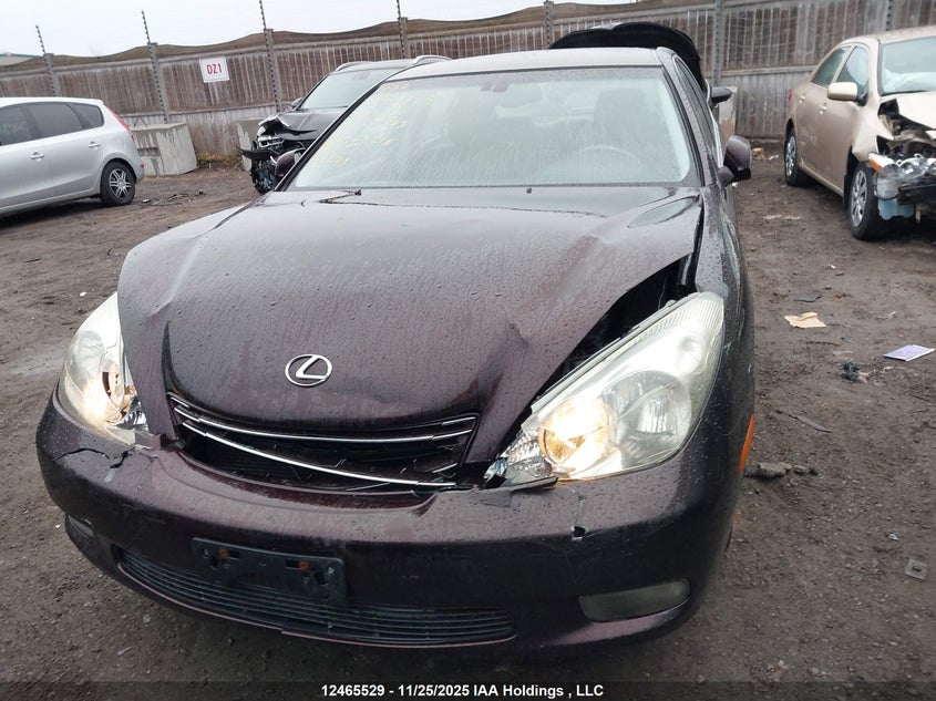 2004 Lexus Es 330 VIN: JTHBA30G845031993 Lot: 12465529