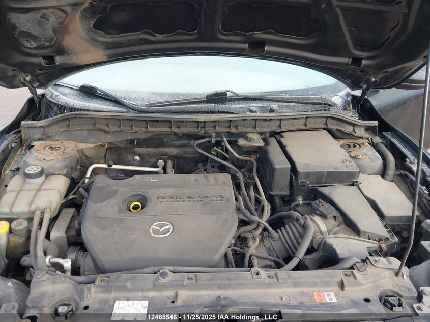 2010 Mazda 3 I VIN: JM1BL1SF5A1249994 Lot: 12465546